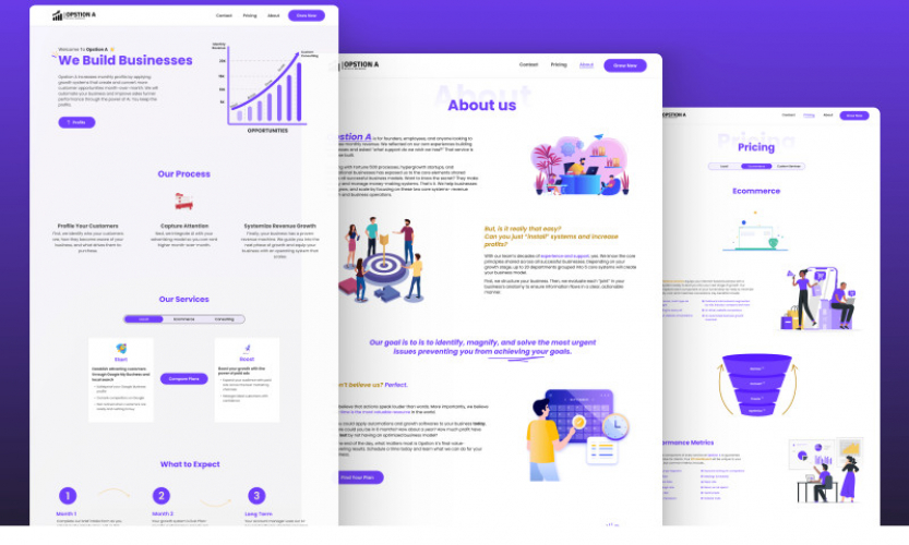 Website Designing & Development of Opstion A screenshot 1