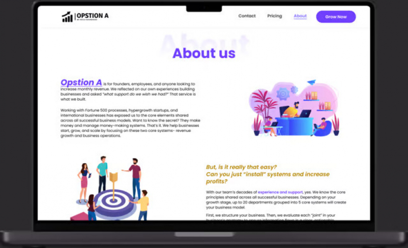 Streamlining Software Solutions: Opstion A screenshot 1