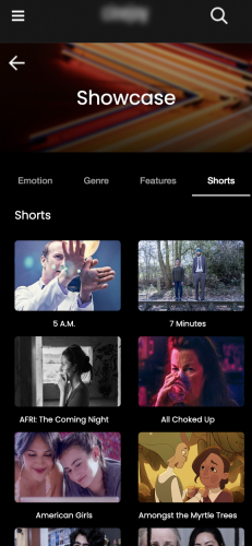 Custom Software Development – Transforming an Offline Film Festival Into a Digital Carnival! screenshot 1