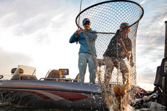 Pricing and Promotion Strategy for Sporting Goods company