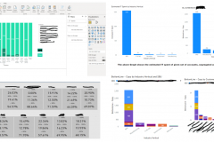 Business Analytics – Sales & Marketing Function