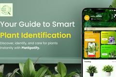 Plant Spotify – AI-Powered Plant Identification & Smart Care App
