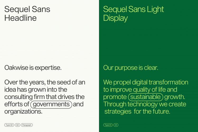 Oakwise - Digital Environments for a Better Tomorrow screenshot 4