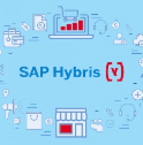 Enterprise-Grade E-Commerce Transformation with SAP Hybris screenshot 1