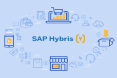 Enterprise-Grade E-Commerce Transformation with SAP Hybris