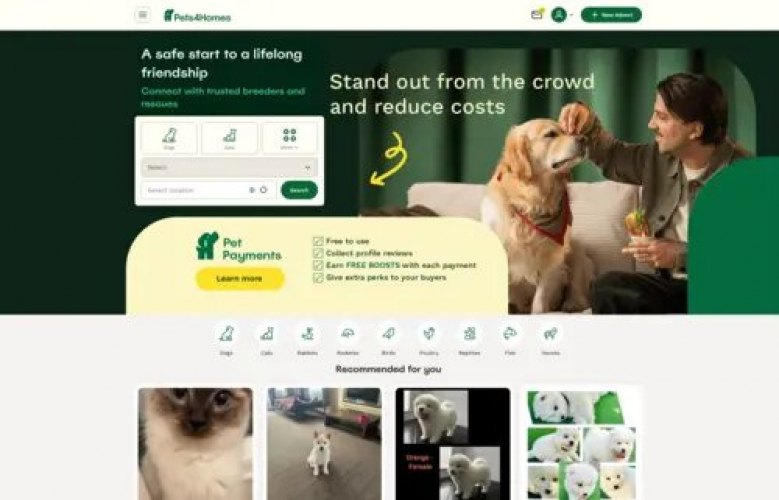 Pet Media Group screenshot 1