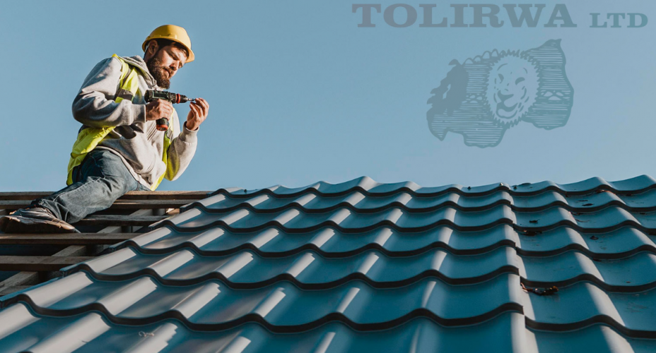 Tolirwa Ltd screenshot 1