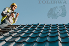 Tolirwa Ltd