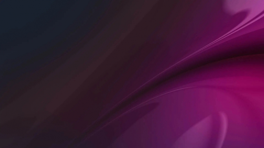 E-commerce Website Development for Skara screenshot 1