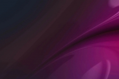 E-commerce Website Development for Skara