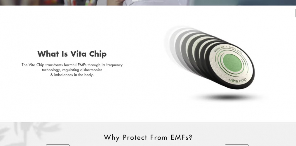 VITACHIPUS screenshot 1