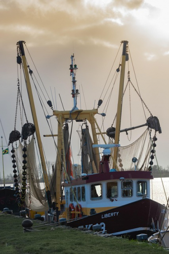 Industrial Weight Measurement screenshot 1