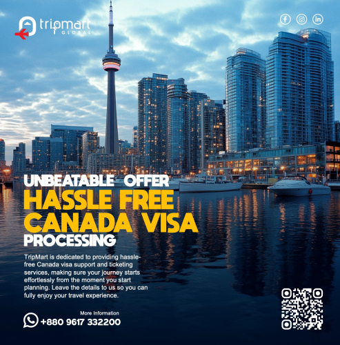 Digital Marketing, Facebook Manage, Pixel Setup, Media Buying screenshot 4