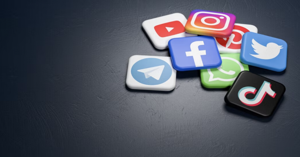 Online Contest & Media Platform screenshot 1