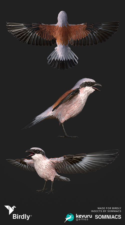 Birdly - VR project screenshot 1