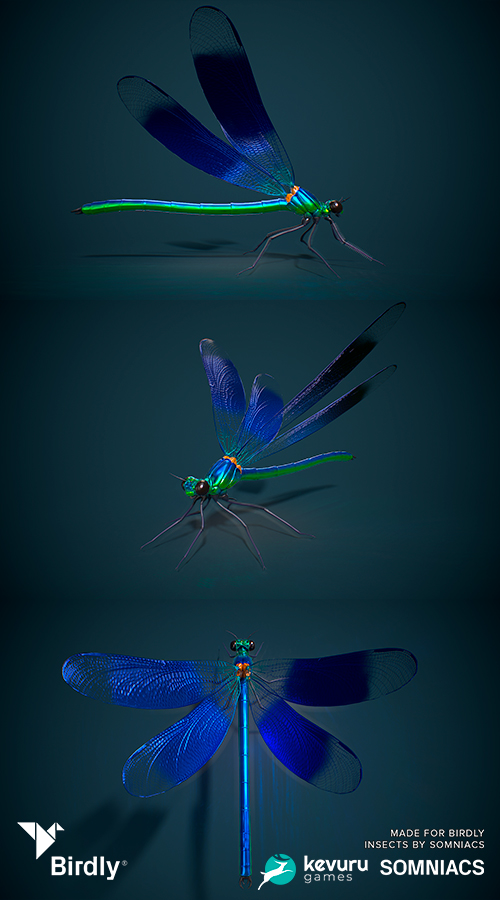 Birdly - VR project screenshot 2