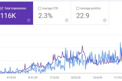SEO Optimization of Nepali Brand