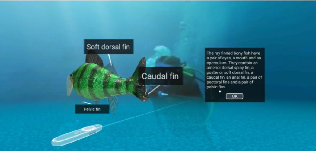 VR Fish Education – Immersive Virtual Biology Learning screenshot 1
