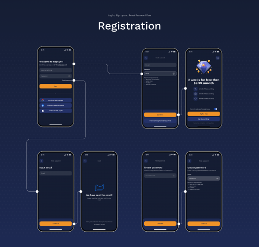 RepSync screenshot 2