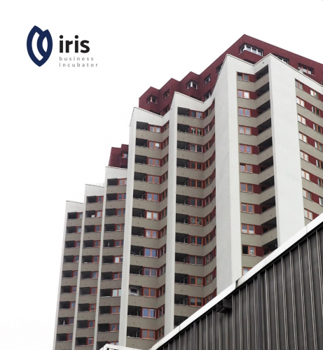 Naming ang Branding for IRIS Business Incubator screenshot 3