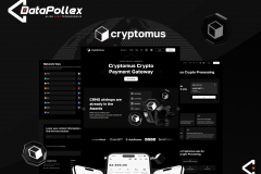 Crypto Payment Gateway System Profile