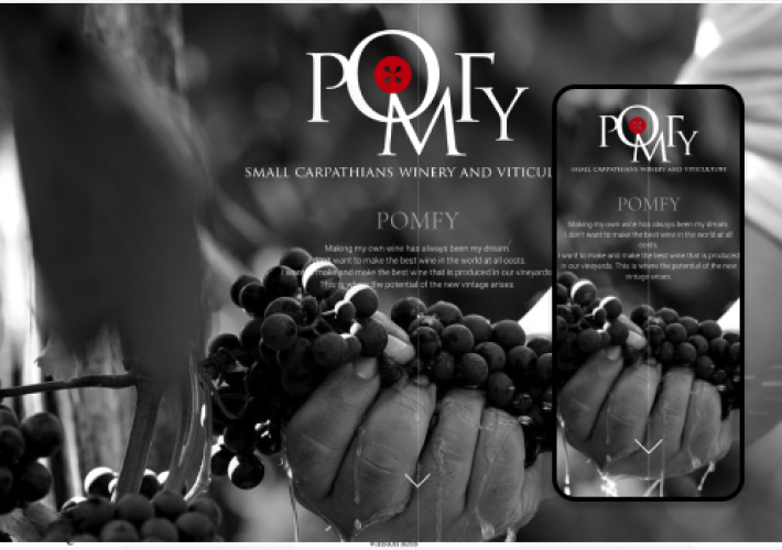 An Ecommerce website for an awarded wine producer screenshot 1