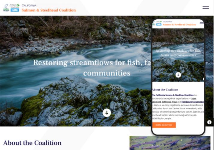 Website redesign & relaunch for a Nature Conservancy project screenshot 1