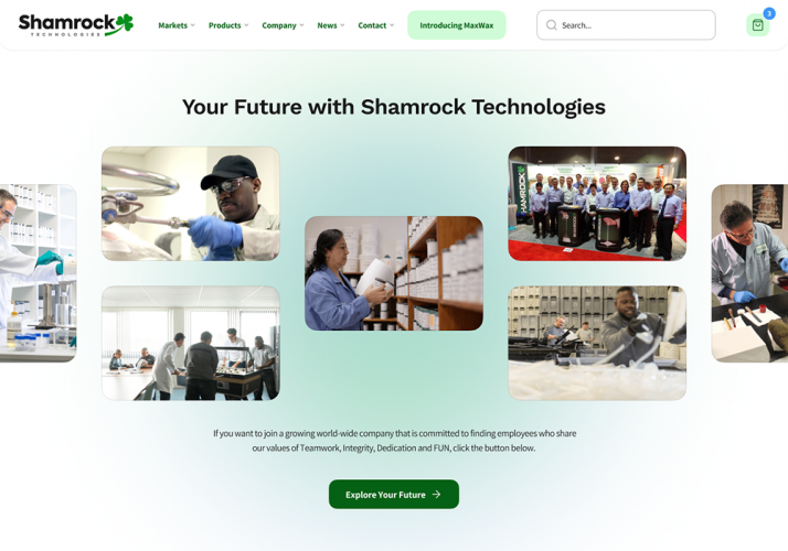 Logo & Website Redesign for Chemical Additives Manufacturer screenshot 2