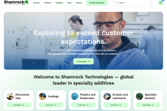 Logo & Website Redesign for Chemical Additives Manufacturer