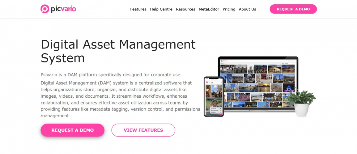 Digital Asset Management Website Development screenshot 1