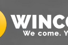  Website Development for Freight Transportation