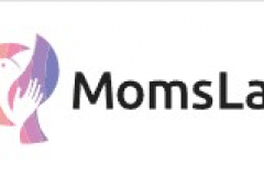  Development of a parenting blog on WordPress