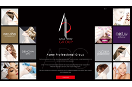 ACME Professional Group
