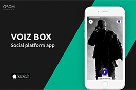 VOIZBox