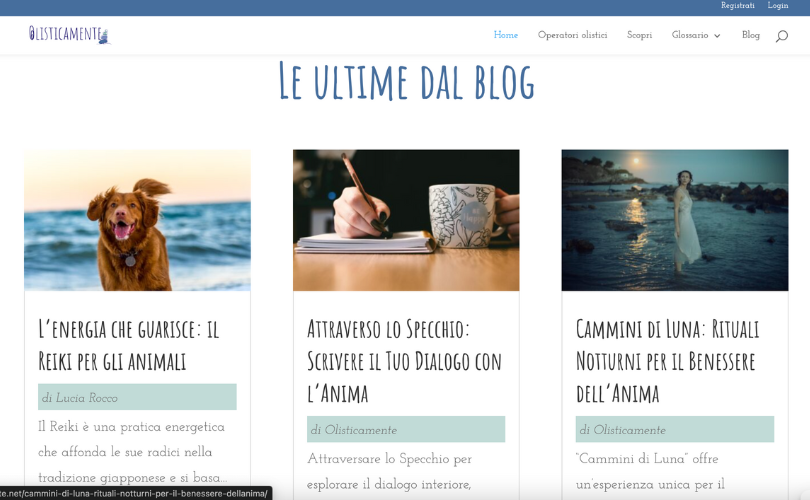 Wordpress Website e. Blog screenshot 5