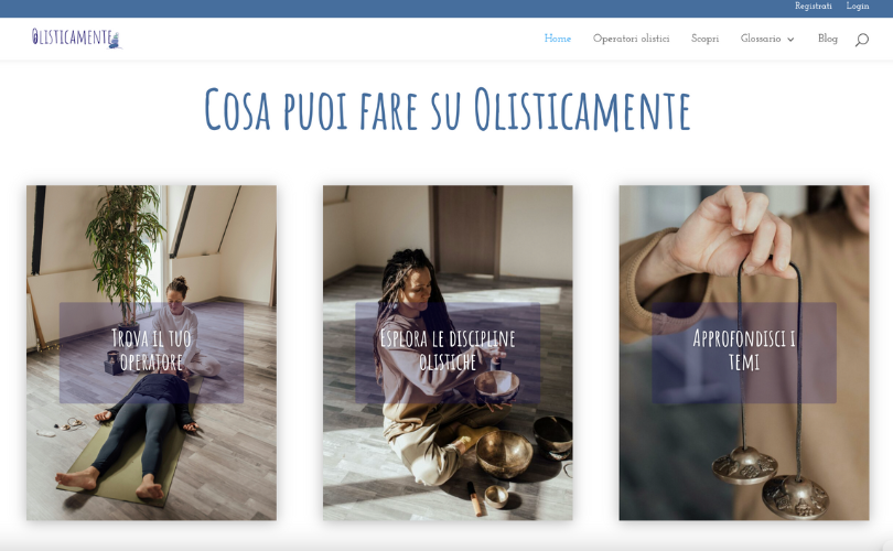 Wordpress Website e. Blog screenshot 2