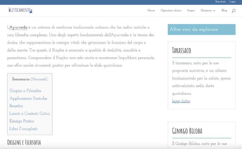 Wordpress Website e. Blog screenshot 4