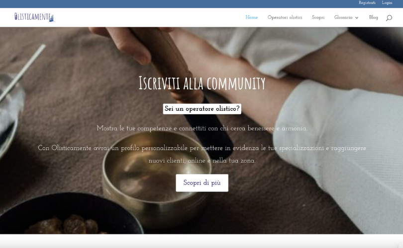 Wordpress Website e. Blog screenshot 1