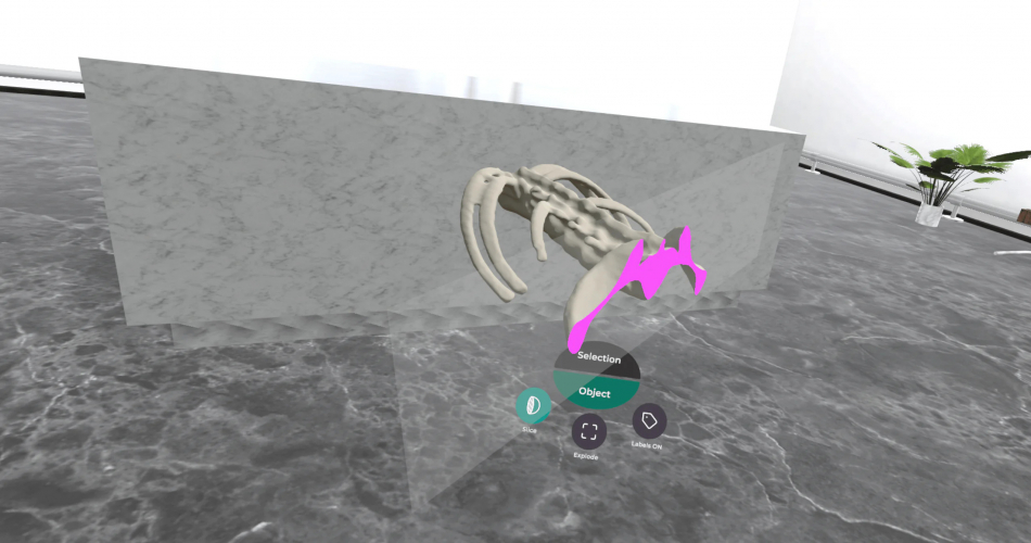 VR Medical App for Education screenshot 2