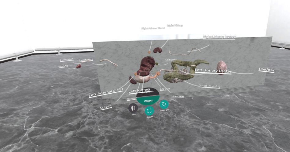 VR Medical App for Education screenshot 1