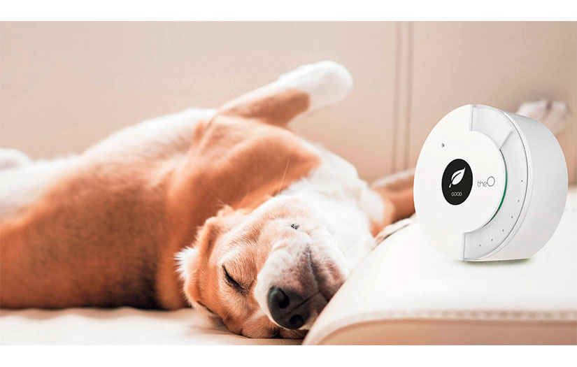 IoT: A Sensor-based Smart Home Solution screenshot 1