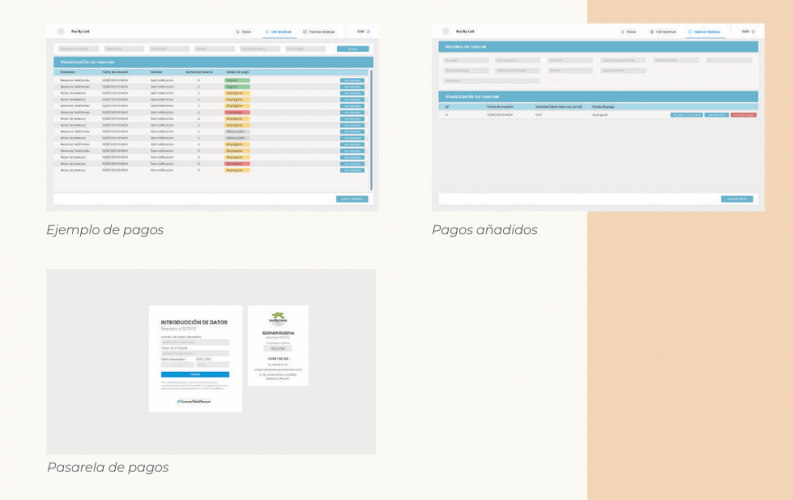 Pay by link screenshot 1