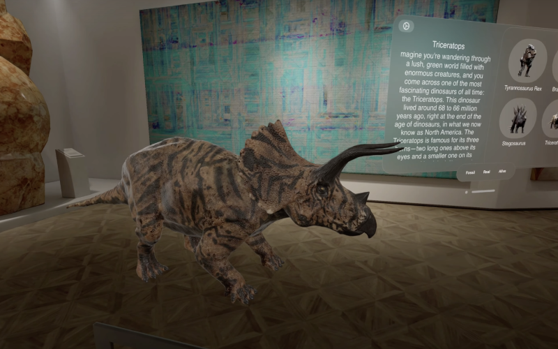 Vision Pro app screenshot 3