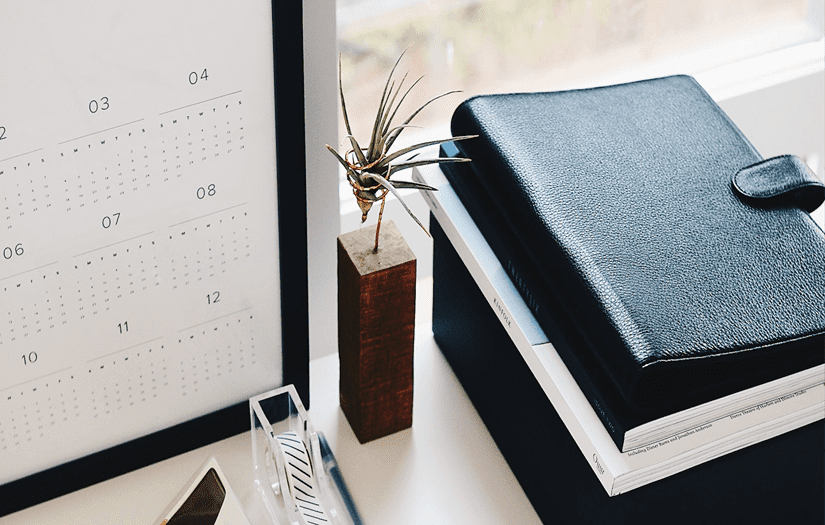 Stumpel screenshot 3