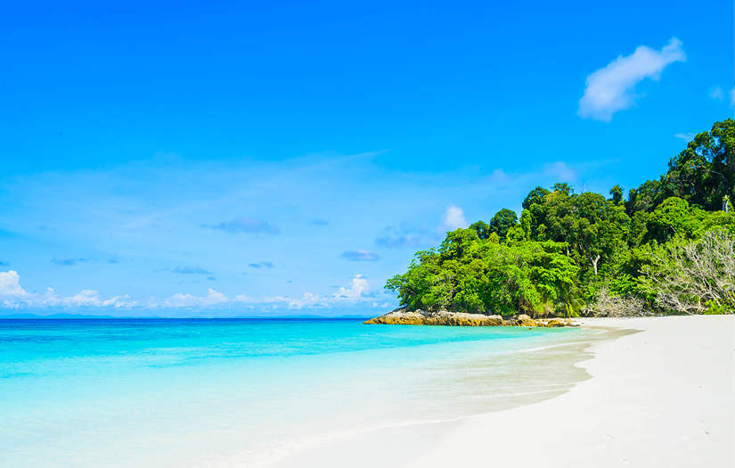 Trident screenshot 3