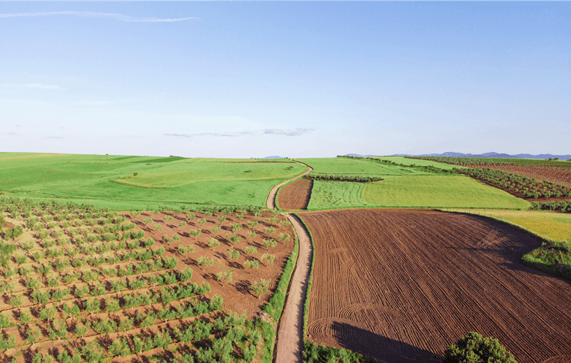 EximCrop screenshot 4