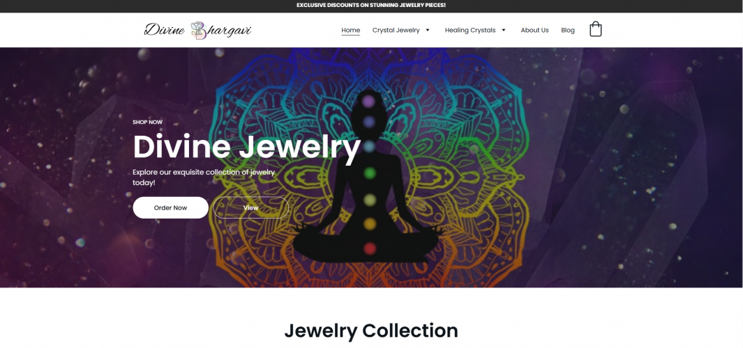 Case Study: Divine Bhargavi – Fashion Brand Expansion via Website & Marketplace Management screenshot 1