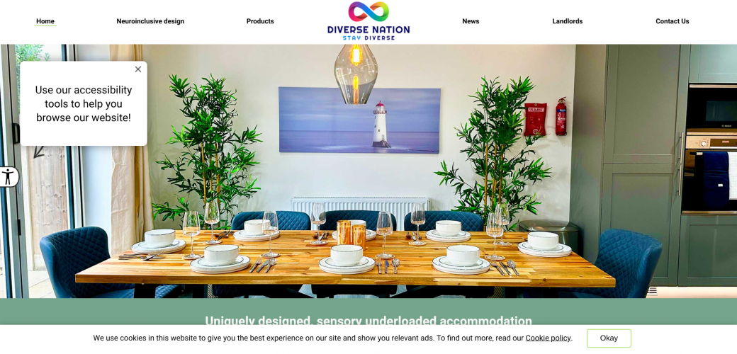 Diverse Nation Accessible Website screenshot 1