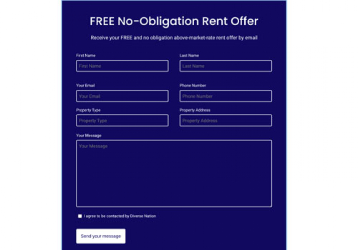 Diverse Nation Accessible Website screenshot 3