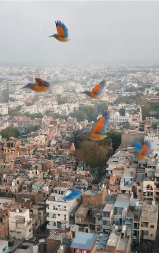 United Breweries - Kingfisher Oktoberfest  screenshot 2